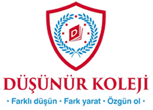 Özel İzmir Düşünür Koleji İlkokulu